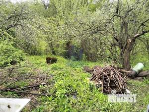 Дом 65м², 1-этажный, участок 6 сот.