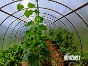 Дом 9м², 1-этажный, участок 4 сот.