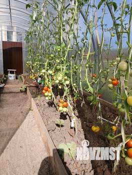 Дом 76м², 1-этажный, участок 3 сот.