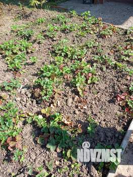 Дом 31м², 2-этажный, участок 3 сот.