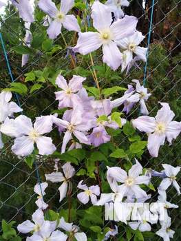 Дом 100м&sup2;, 1-этажный, посуточно, 