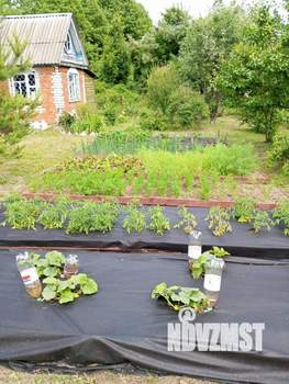 Дом 24м², 2-этажный, участок 9 сот.  