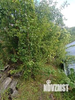 Дом 48м&sup2;, 2-этажный, участок 3 сот.  