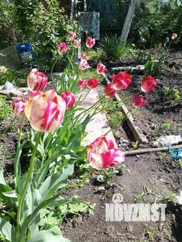 Дом 15м², 1-этажный, участок 3 сот.  