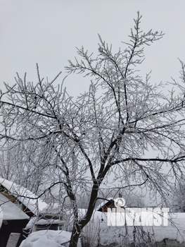 Дом 65м&sup2;, 1-этажный, участок 6 сот.  