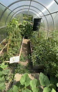 Дом 52м&sup2;, 1-этажный, участок 12 сот.  