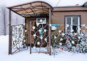 Дом 50м&sup2;, 1-этажный, участок 3 сот.  