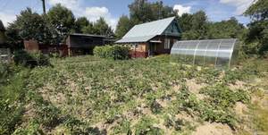 Дом 52м&sup2;, 1-этажный, участок 12 сот.  