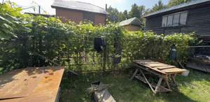 Дом 52м&sup2;, 1-этажный, участок 12 сот.  