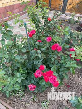 Коттедж 297м&sup2;, 3-этажный, участок 15 сот.  