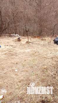 Дом 20м&sup2;, 1-этажный, участок 3 сот.  