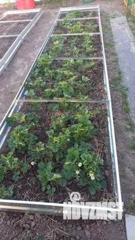 Дом 17м&sup2;, 1-этажный, участок 3 сот.  