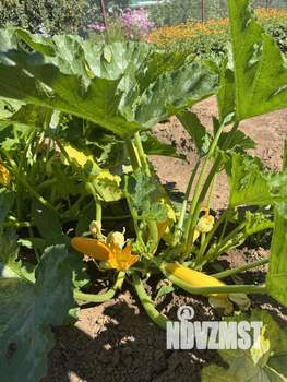 Дом 15м&sup2;, 1-этажный, участок 6 сот.  