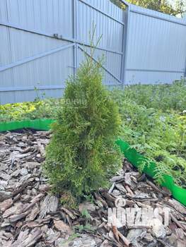 Дом 24м², 1-этажный, участок 5 сот.  