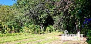 Дом 36м&sup2;, 2-этажный, участок 4 сот.  