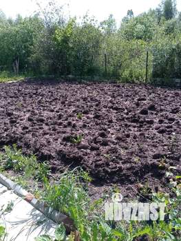 Дом 16м&sup2;, 2-этажный, участок 5 сот.  