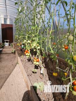 Дом 76м², 1-этажный, участок 3 сот.  