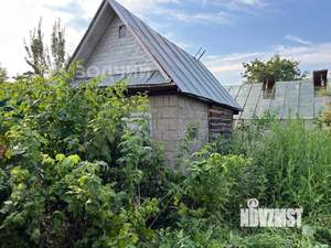 Дом 50м&sup2;, 1-этажный, участок 3 сот.  