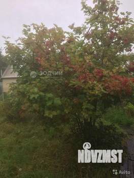 Дом 25м&sup2;, 1-этажный, участок 5 сот.  