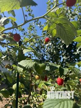 Дом 15м&sup2;, 1-этажный, участок 6 сот.  