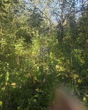 Дом 28м², 1-этажный, участок 4 сот.  