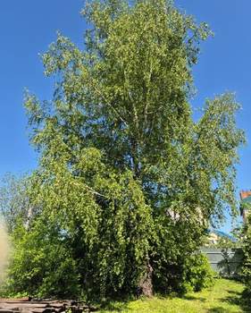 Дом 21м&sup2;, 1-этажный, участок 10 сот.  