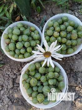 Дом 24м², 2-этажный, участок 9 сот.  