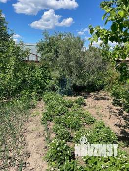 Дом 30м&sup2;, 2-этажный, участок 7 сот.  