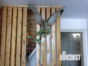 2-к квартира, посуточно, 70м2, 10/10 этаж