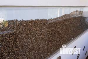 1-к квартира, посуточно, 41м2, 1/1 этаж