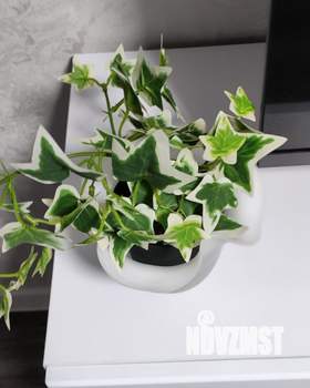 2-к квартира, посуточно, 50м2, 6/9 этаж