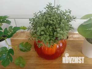 1-к квартира, посуточно, 35м2, 9/9 этаж