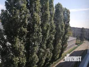 1-к квартира, вторичка, 38м2, 6/8 этаж