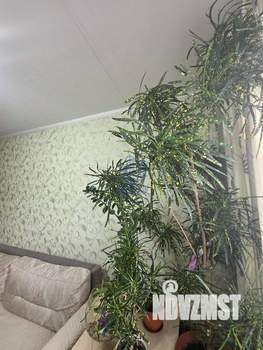 1-к квартира, вторичка, 34м2, 7/9 этаж