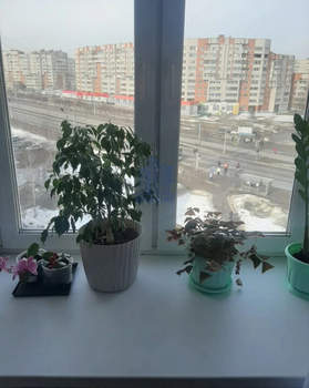 2-к квартира, вторичка, 67м2, 7/16 этаж