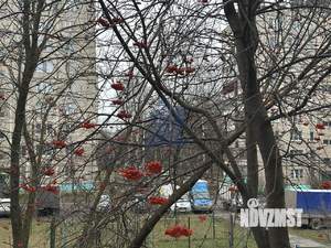 1-к квартира, вторичка, 22м2, 2/5 этаж