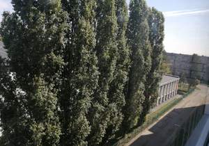 1-к квартира, вторичка, 38м2, 6/8 этаж