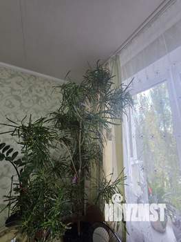 1-к квартира, вторичка, 36м2, 7/9 этаж