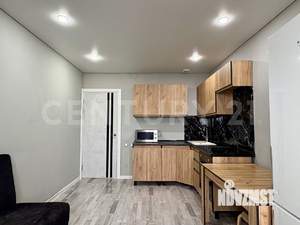 1-к квартира, вторичка, 43м2, 16/16 этаж