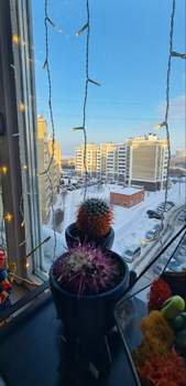 2-к квартира, вторичка, 66м2, 7/9 этаж