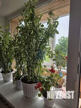 2-к квартира, вторичка, 42м2, 5/5 этаж