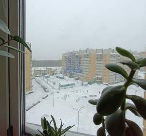 1-к квартира, вторичка, 60м2, 8/10 этаж