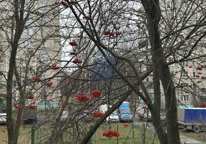 1-к квартира, вторичка, 22м2, 2/5 этаж