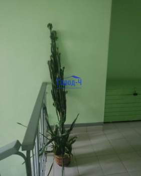 1-к квартира, вторичка, 46м2, 4/14 этаж