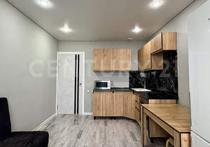 1-к квартира, вторичка, 43м2, 16/16 этаж